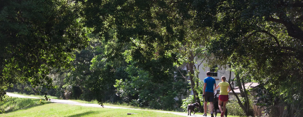 Walk in the Park: Weekly Walking Group